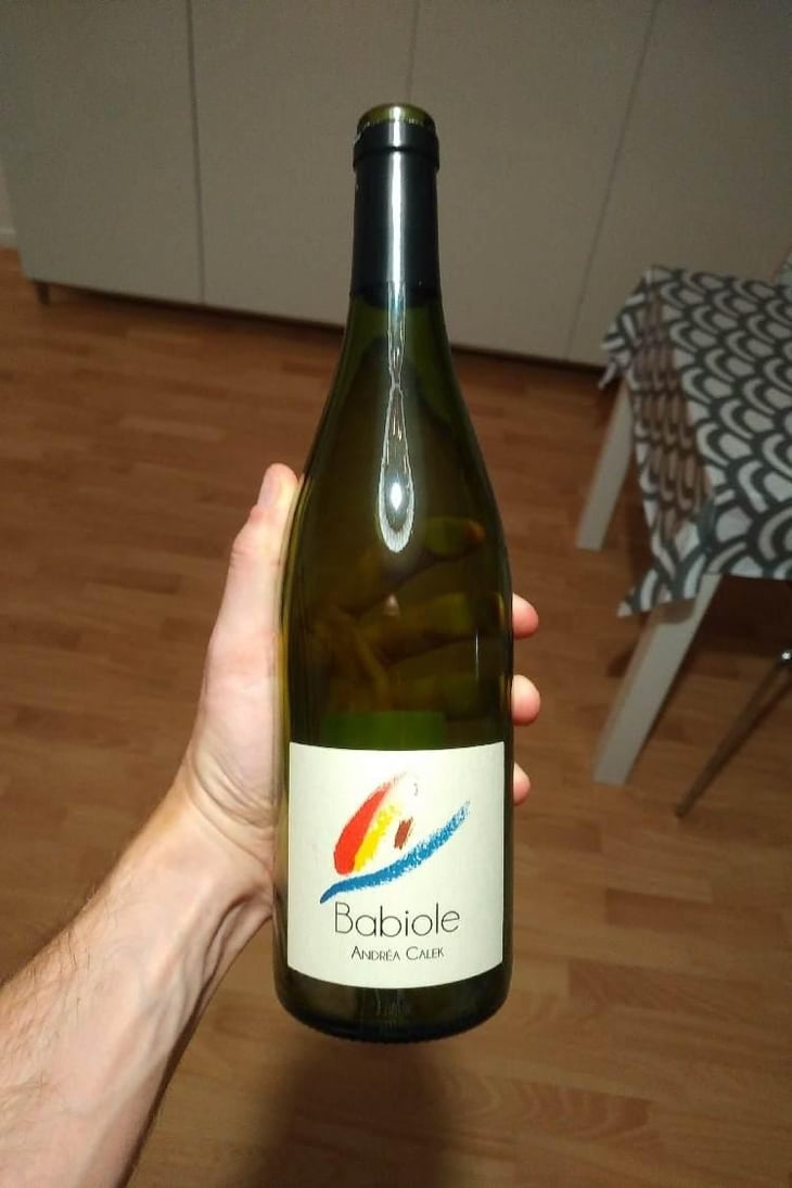 Babiole - Andrea Calek - Andrea Calek et Stephana Nicolescu 
