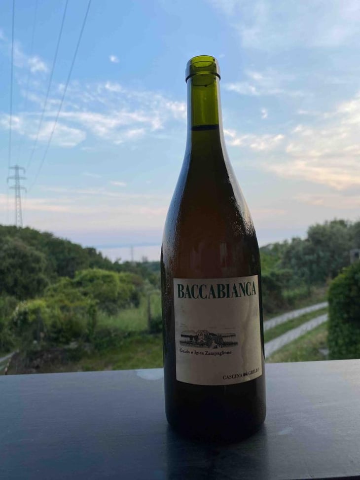 Baccabianca - Tenuta Grillo - Guido Zampaglione 