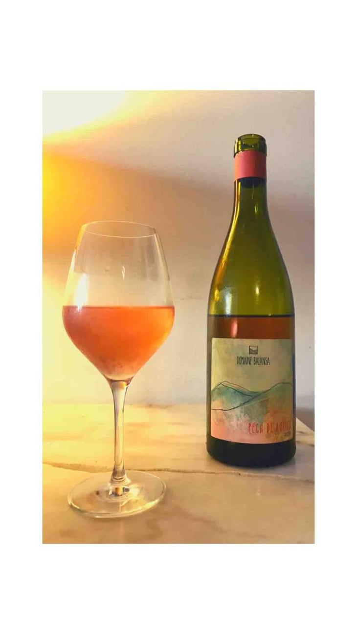 Pech De Rozies - Domaine Balansa - Céline Peyre & Alex Gressent 