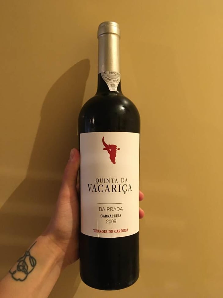 Baga tinto - Quinta da Vacariça - François Chasans 