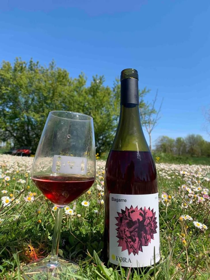 Bagarre - Fora Wines - Giovanni Bottazzi, Simone Fanton 