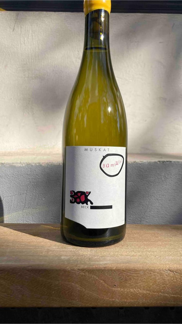 Bambule ! Muskat - Weingut Beck - Judith Beck 