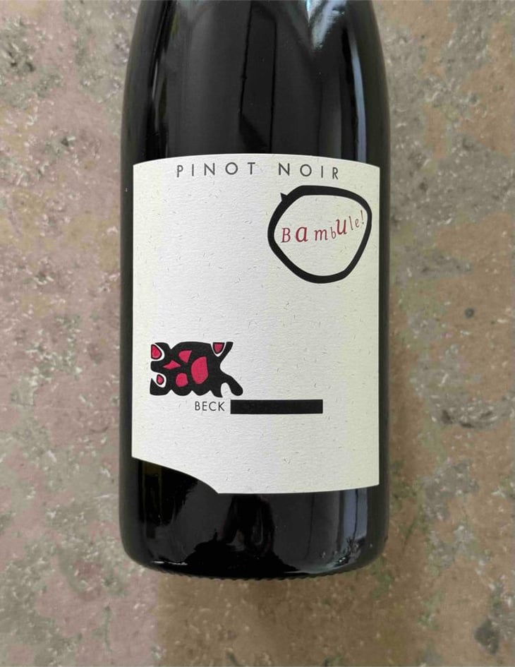Bambule ! Pinot Noir - Weingut Beck - Judith Beck 