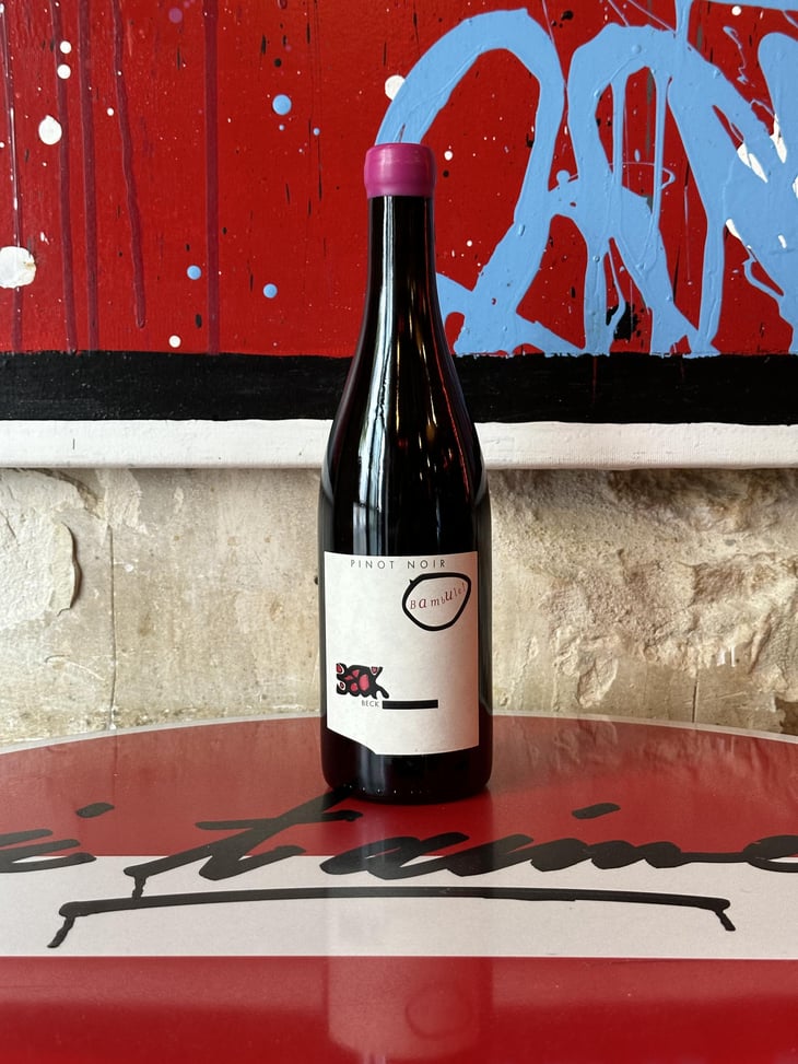 Bambule ! Pinot Noir - Weingut Beck - Judith Beck 