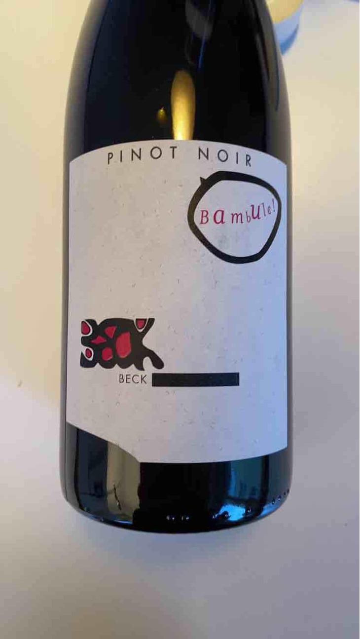 Bambule ! Pinot Noir - Weingut Beck - Judith Beck 