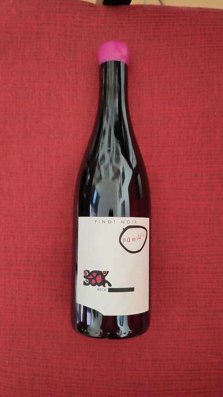 Bambule ! Pinot Noir - Weingut Beck - Judith Beck 