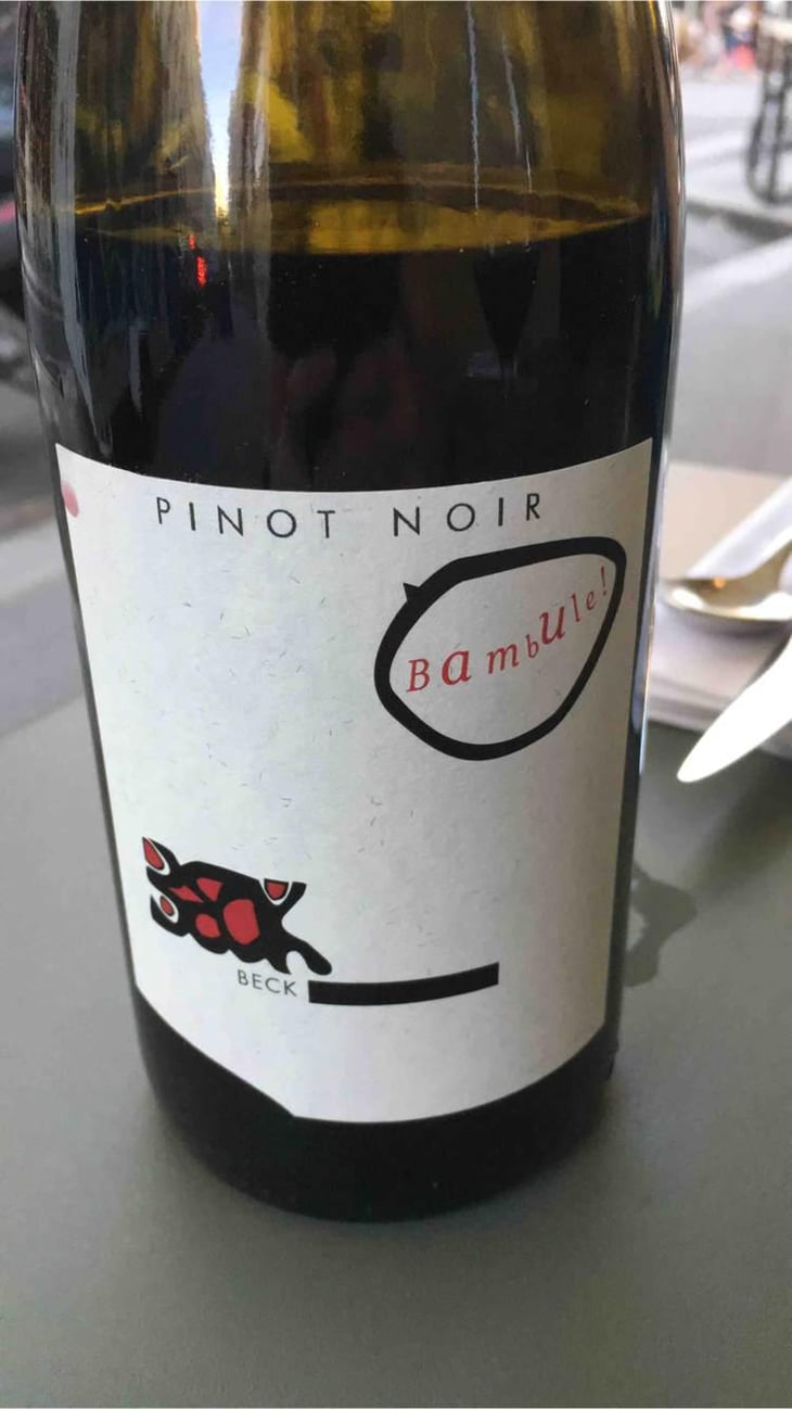 Bambule ! Pinot Noir - Weingut Beck - Judith Beck 