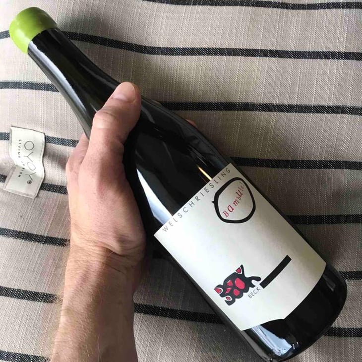 Bambule ! Welschriesling - Weingut Beck - Judith Beck -2021