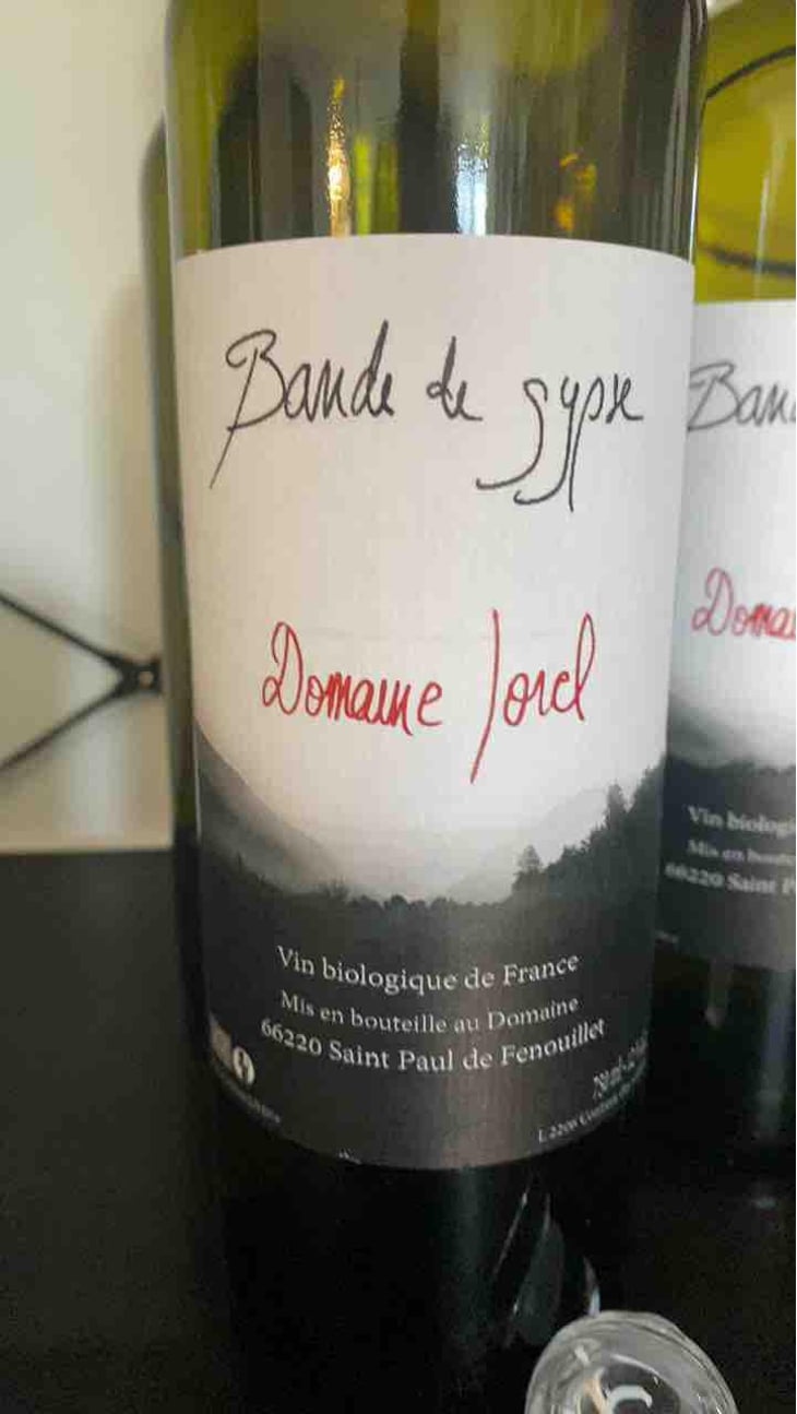 Bande de gypse - Domaine Jorel - Manuel Jorel 