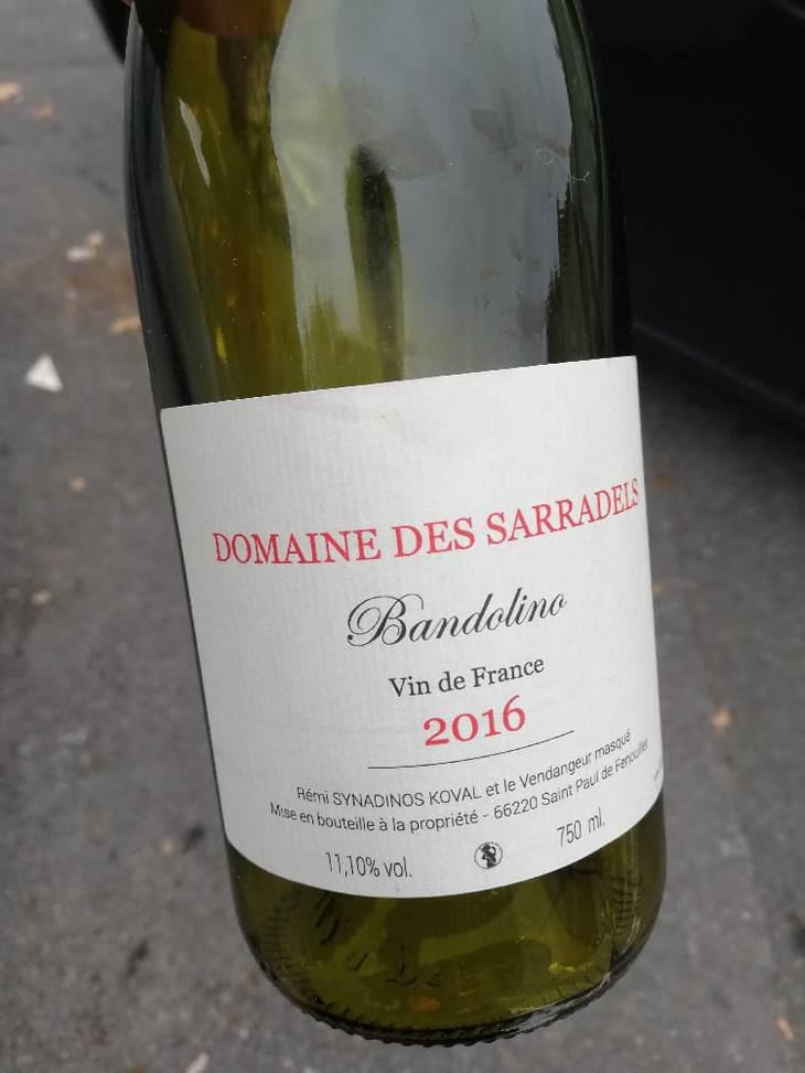 Bandolino - Domaine des Sarradels - Rémi Synadinos Koval 