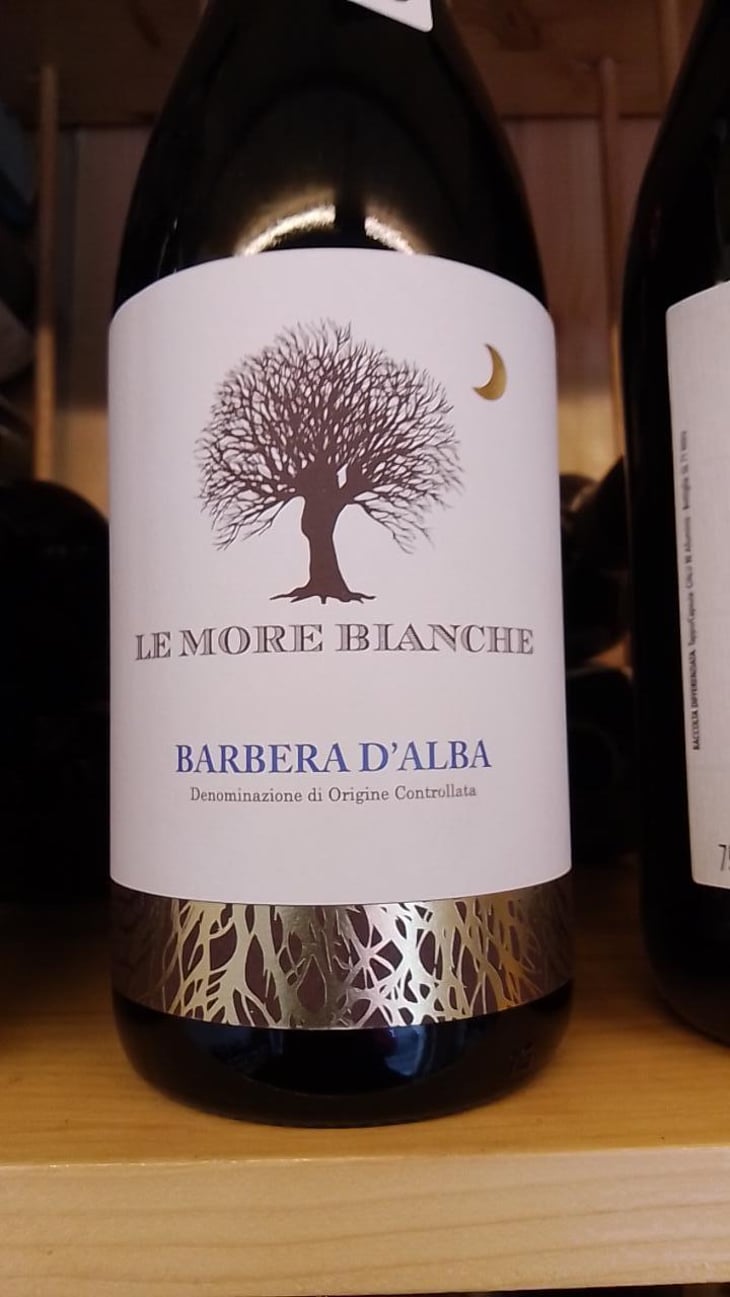Barbera D’alba - Le More Bianche / レ・モーレ・ビアンケ - Bovio Alessandro -2019