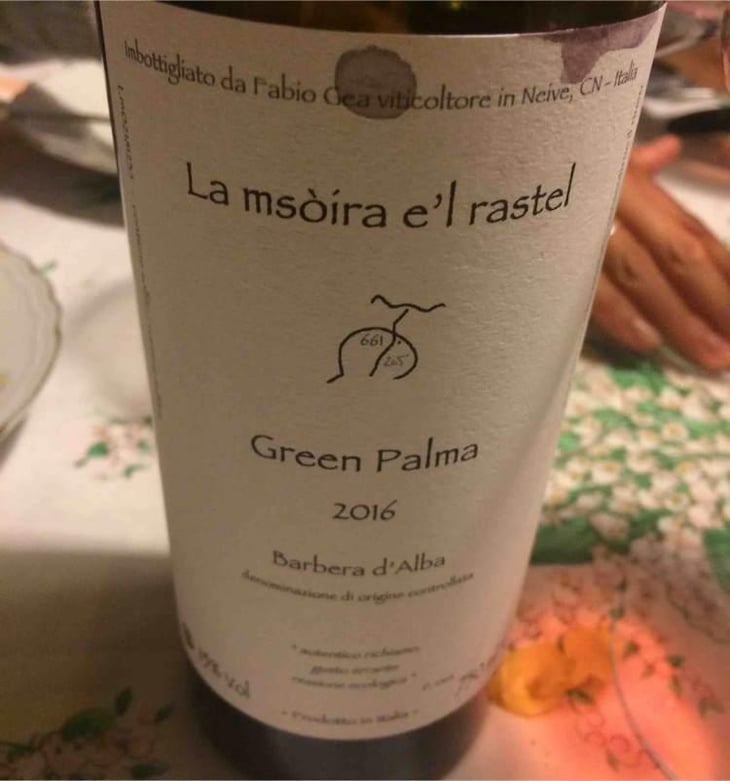 Barbera d'Alba - "Green Palma" - Azienda Agricola Fabio Gea - Fabio Gea 