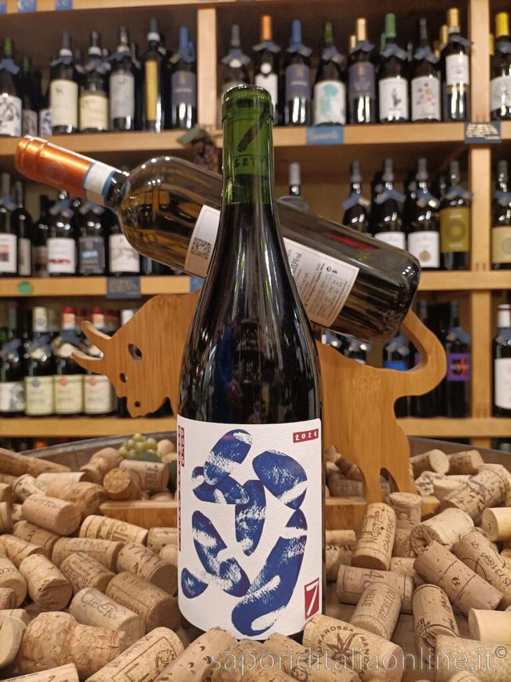 Barbera d’Asti - Sette Wine - Gianluca Colombo & Gino della Porta 