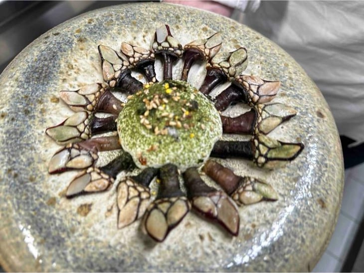 Barnacle, Wasabi, Yogurt - Kiss the Chef - 772123