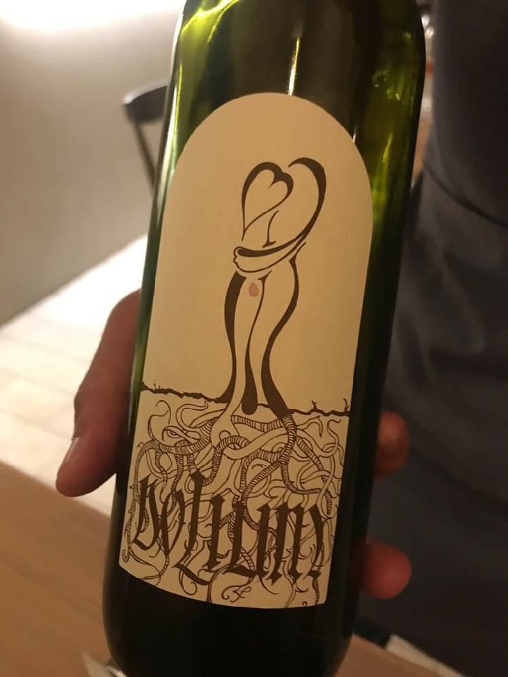 Dolium - Vinarstvo Zorjan - Marija & Božidar Zorjan 