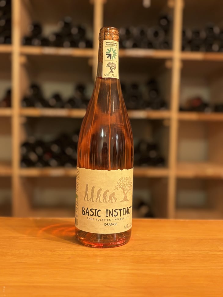 BASIC INSTINCT ORANGE - Villa Noria - Cédric Arnaud & Fabien Gross -2022