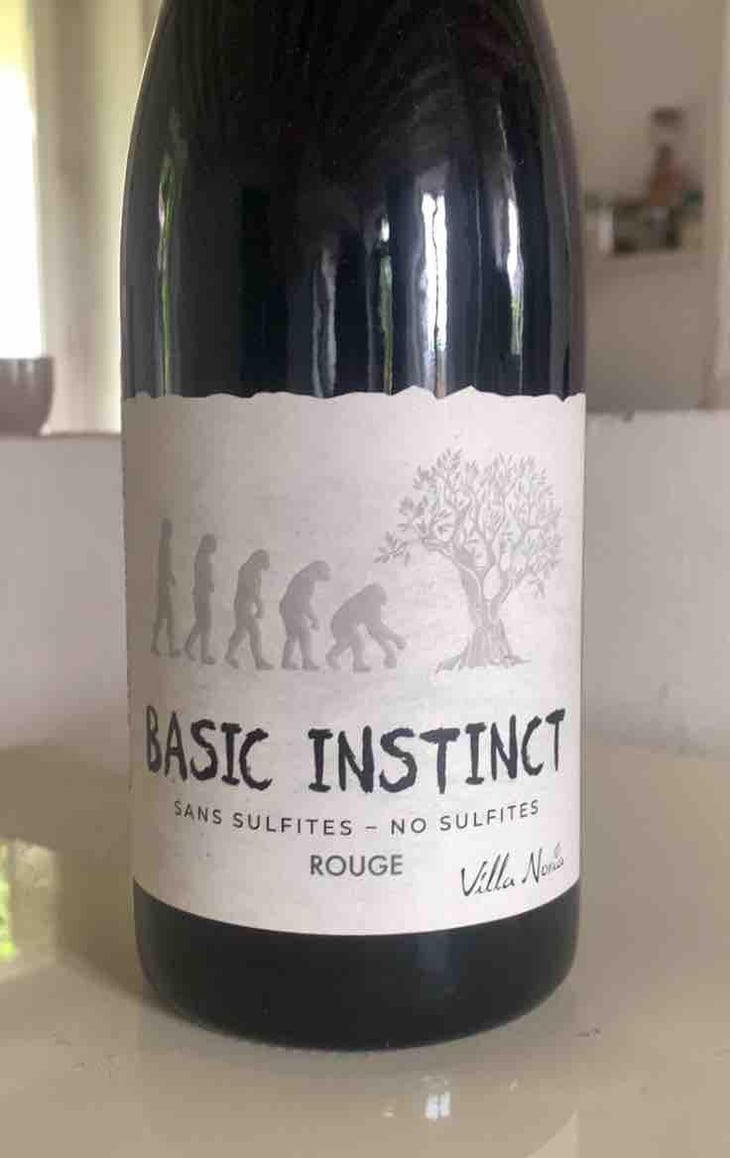 BASIC INSTINCT ROUGE - Villa Noria - Cédric Arnaud & Fabien Gross -2022