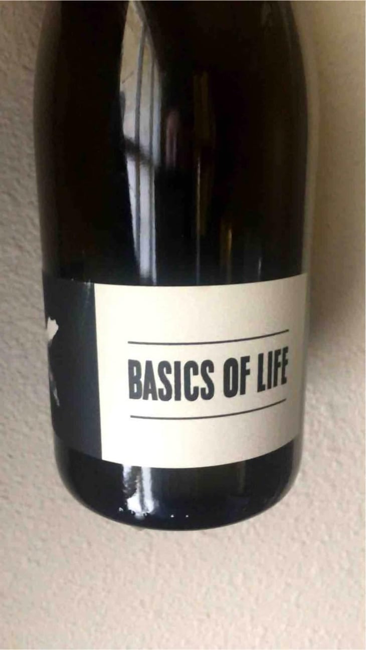 Basics of Life - Fredericksburg, TX - Regan & Carey Meador (information requested) 