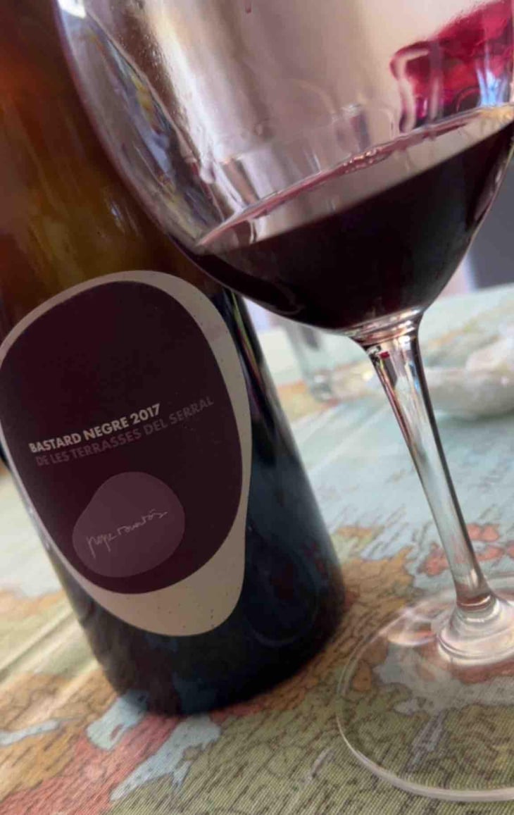 Bastard Negre de les Terrasses del Serral - Vins Pepe Raventós - Pepe Raventós 