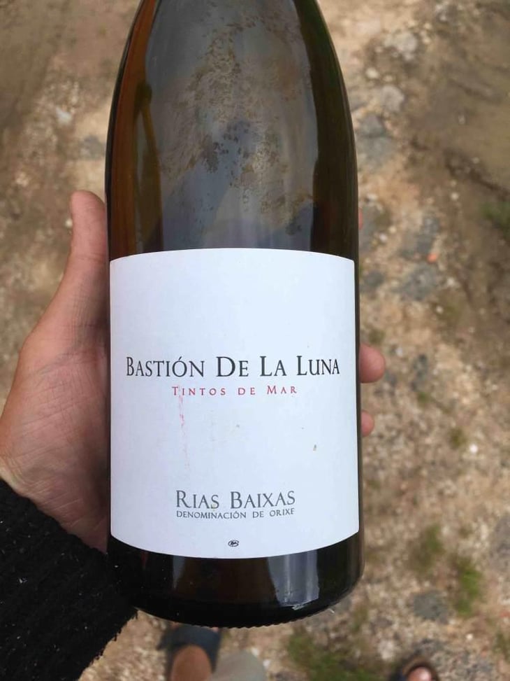 Bastion De La Luna - Bodegas y Viñedos Rodrigo Méndez/Bodegas Forjas del Salné - Rodrigo Méndez 