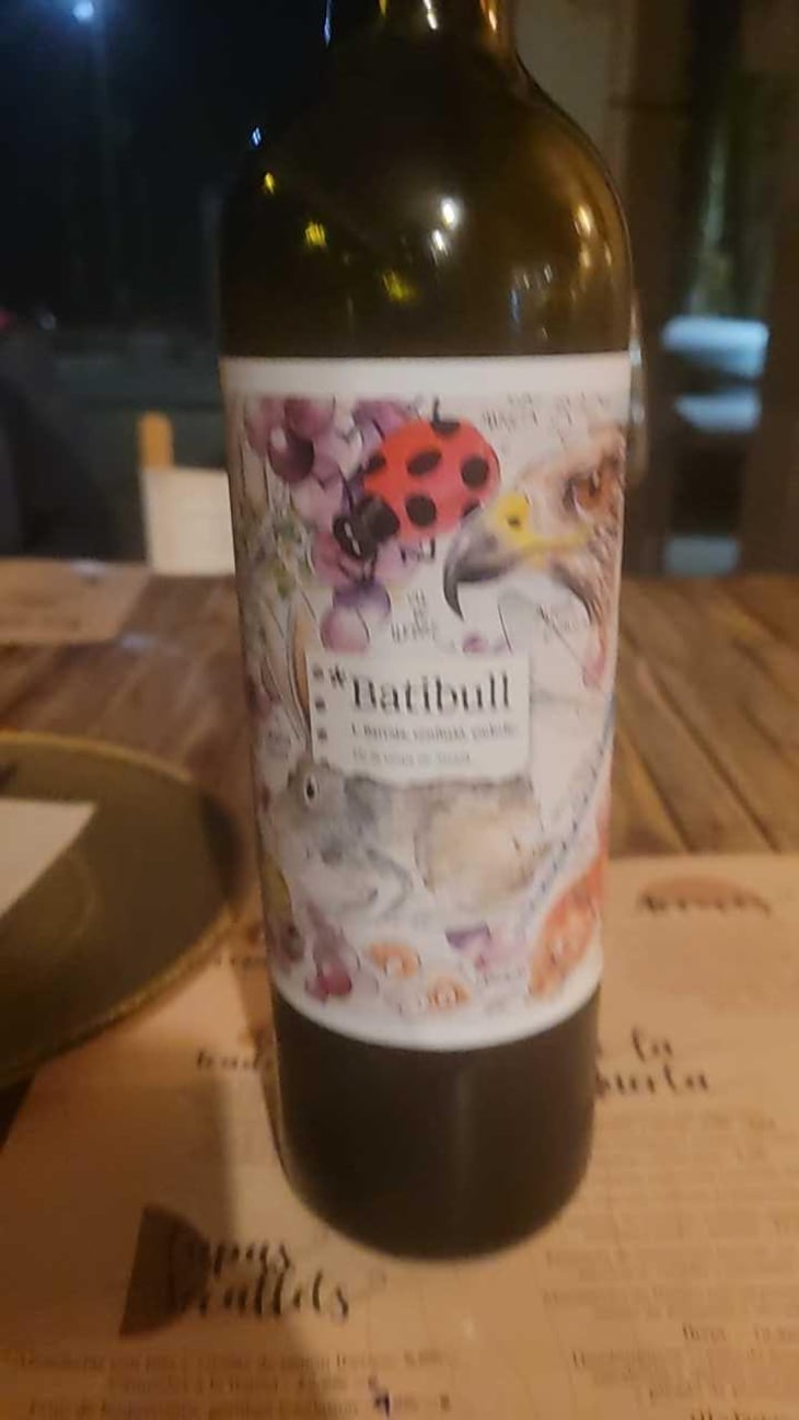 Batibull - Enlaire Vins - Mar Capdevila & Lluis Raventos 