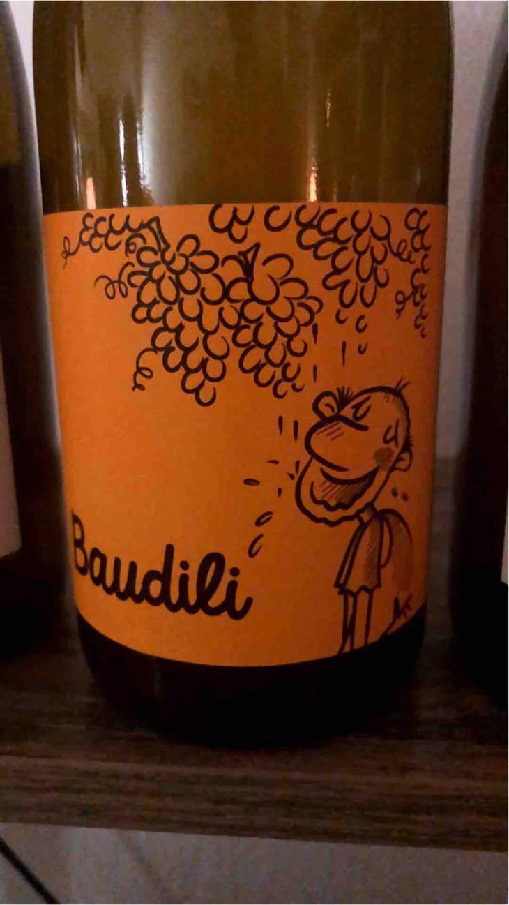Baudili - Ramon Jané Viticultor - Ramón Jané 