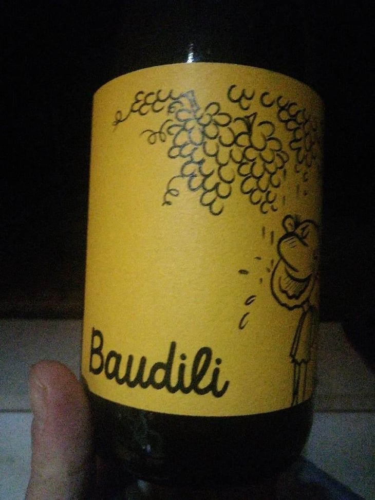 Baudili - Ramon Jané Viticultor - Ramón Jané 