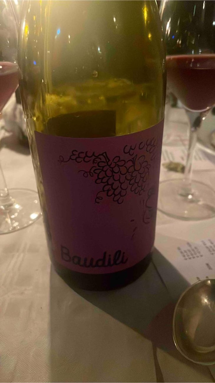 Baudili (Tinto) - Mas Candí - Ramón Jané, Mercé Cuscó, Toni Carbó, Ramón Galimany 