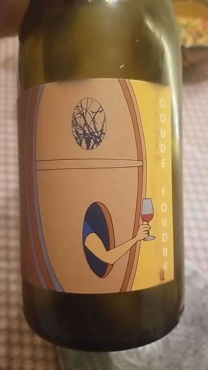 Coup Double - Domaine Thillardon - Aude, Jean-Baptiste, Charles et Paul-Henri Thillardon -2019