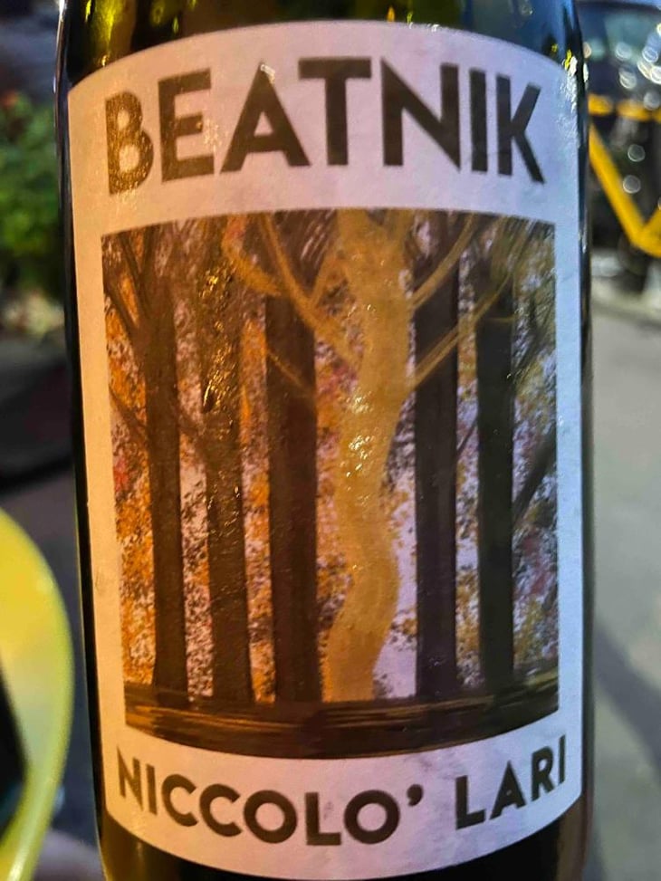 Beatnik - Niccolò Lari - Niccolò Lari 