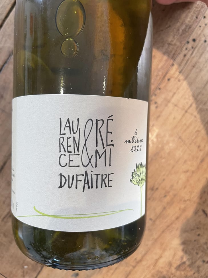 Beaujolais Blanc - Domaine de Botheland - Rémi Dufaitre & Laurence Liatard -2021