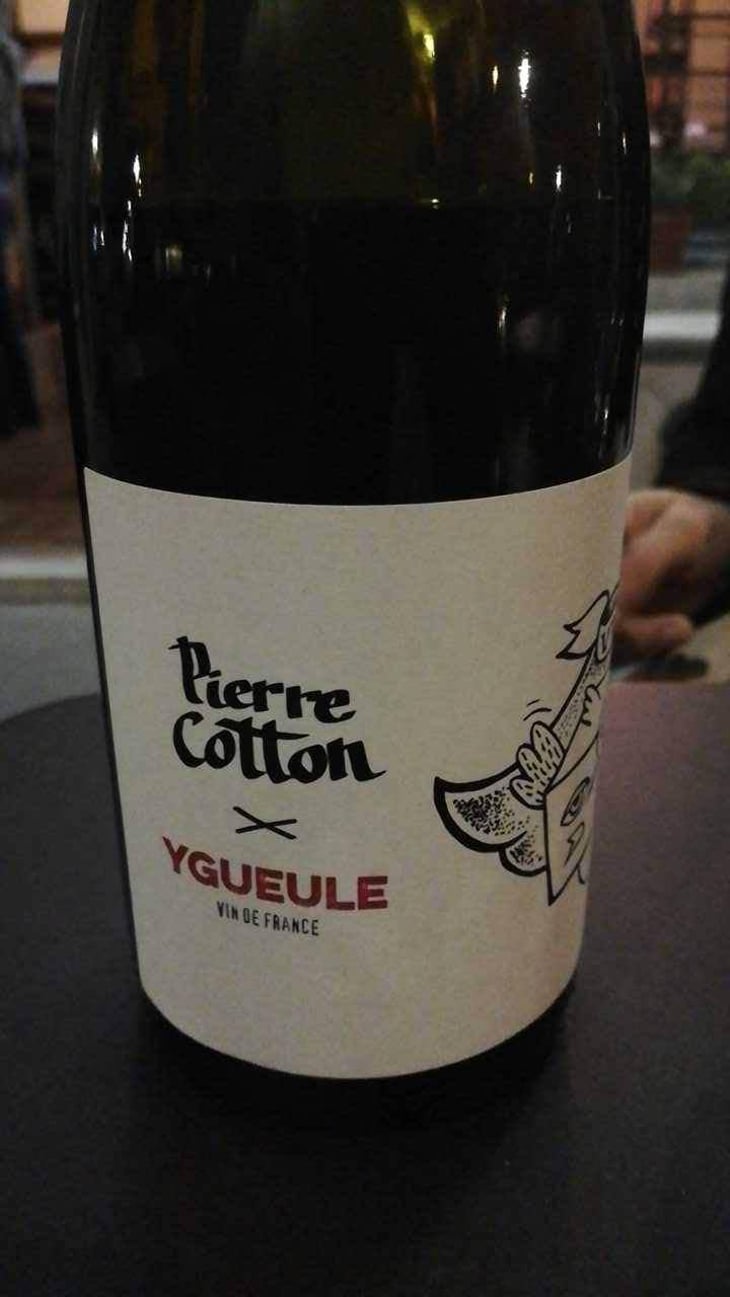 Beaujolais - Bonnet-Cotton - Marine Bonnet & Pierre Cotton 