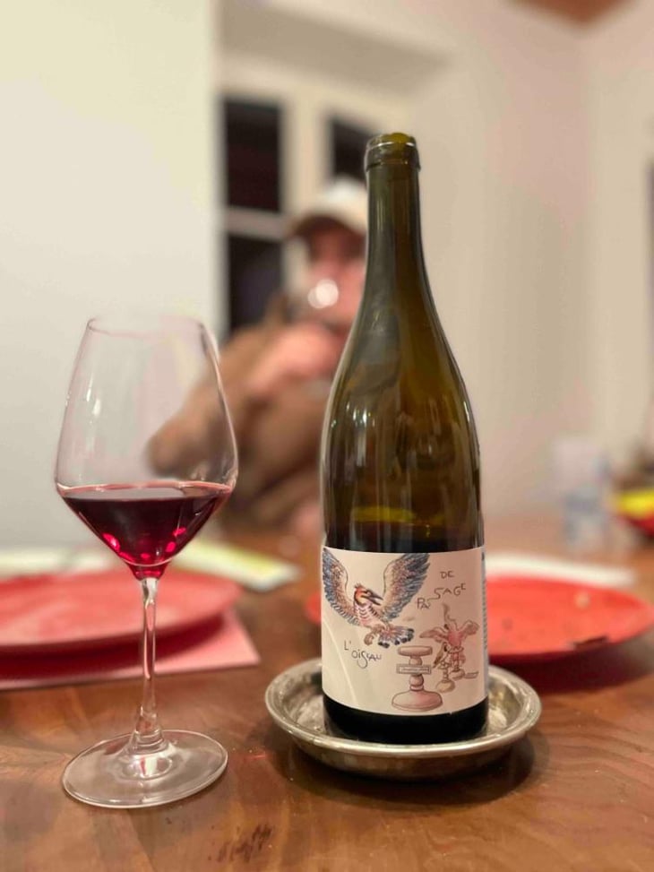 Beaujolais-Leynes "En Sauvage" - L'oiseau De Passage - Julien Frappa -2022