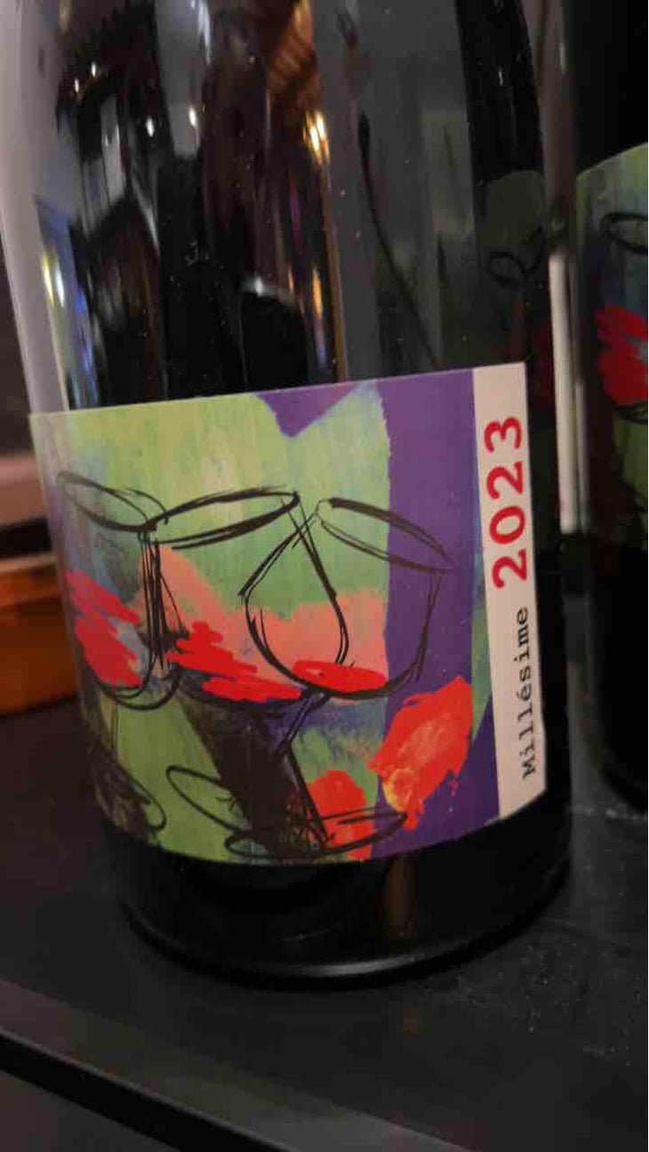 Beaujolais Nouveau - Domaine David-Beaupère - Louis-Clément David-Beaupère 