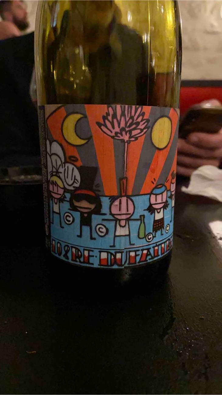 Beaujolais Nouveau - Domaine de Botheland - Rémi Dufaitre & Laurence Liatard -2021