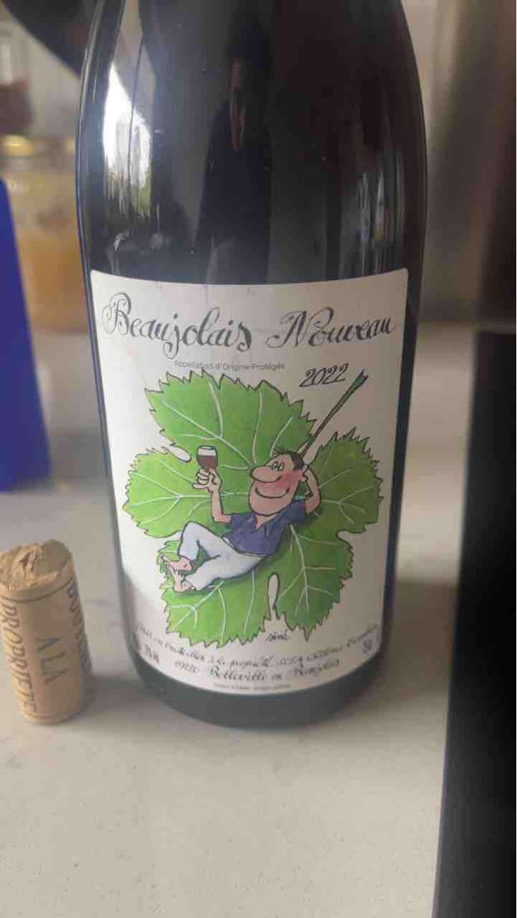 Beaujolais Nouveau - Château Cambon - Alexandre Iwasuila, Marie Lapierre & Jean-Claude Chanudet 