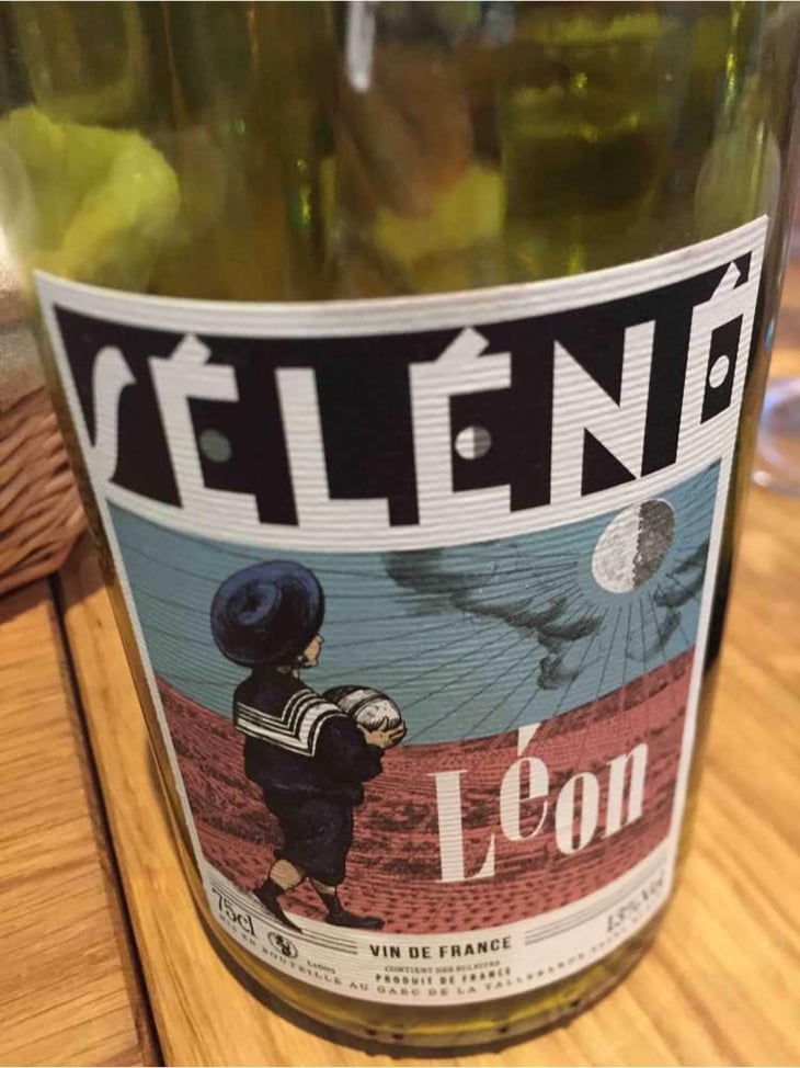 Beaujolais Rosé - Séléné - Sylvère Trichard 