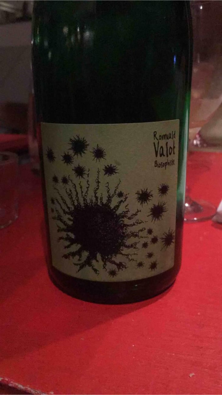 Beaujolais Village Blanc - Les Sauvageons - Cosima and Romuald Valot 