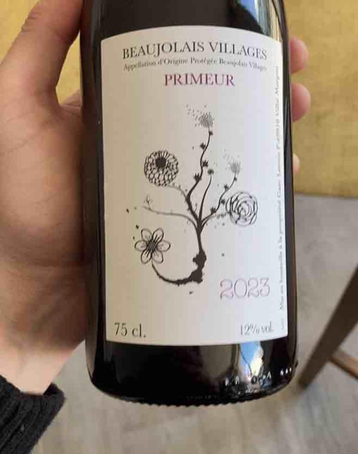 Beaujolais Village Primeur - Domaine Leonis - Cristelle & Raphaël Champier 