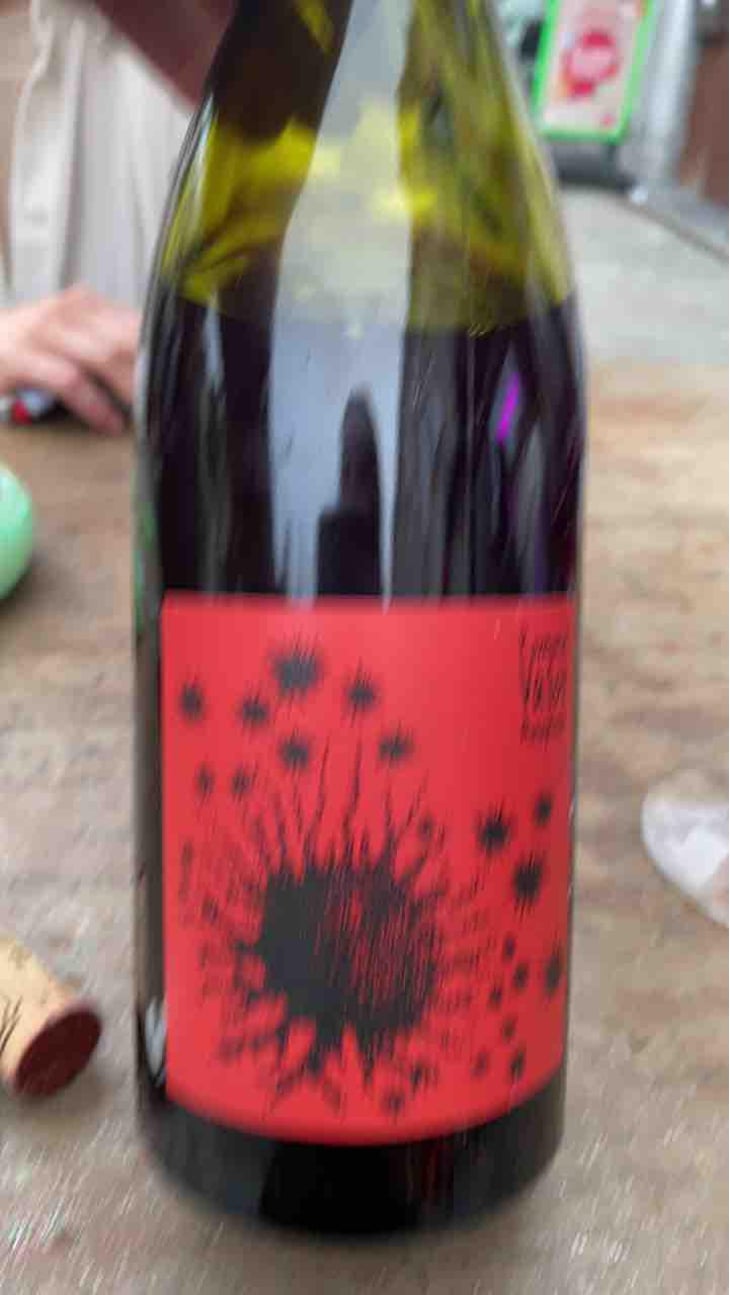 Beaujolais Village - Les Sauvageons - Cosima and Romuald Valot 