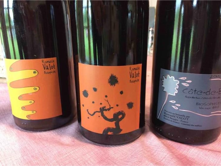 Beaujolais Village - Les Sauvageons - Cosima and Romuald Valot 