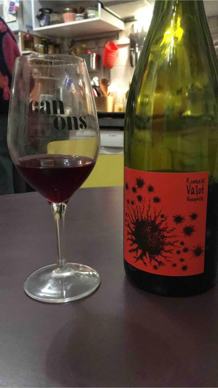 Beaujolais Village - Les Sauvageons - Cosima and Romuald Valot 