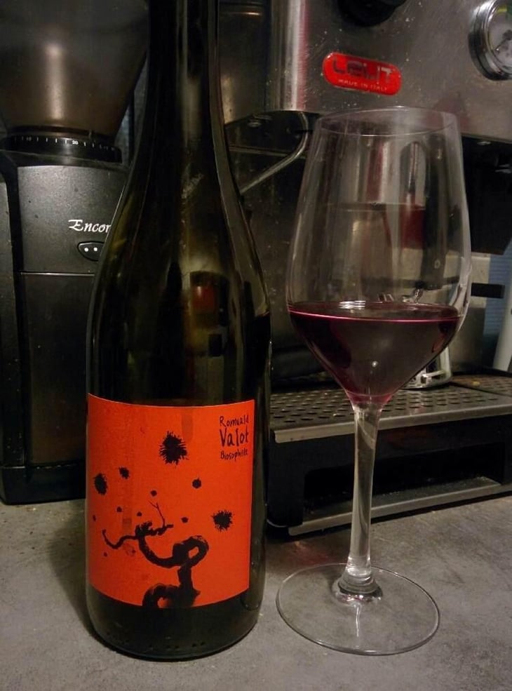 Beaujolais Village - Les Sauvageons - Cosima and Romuald Valot 