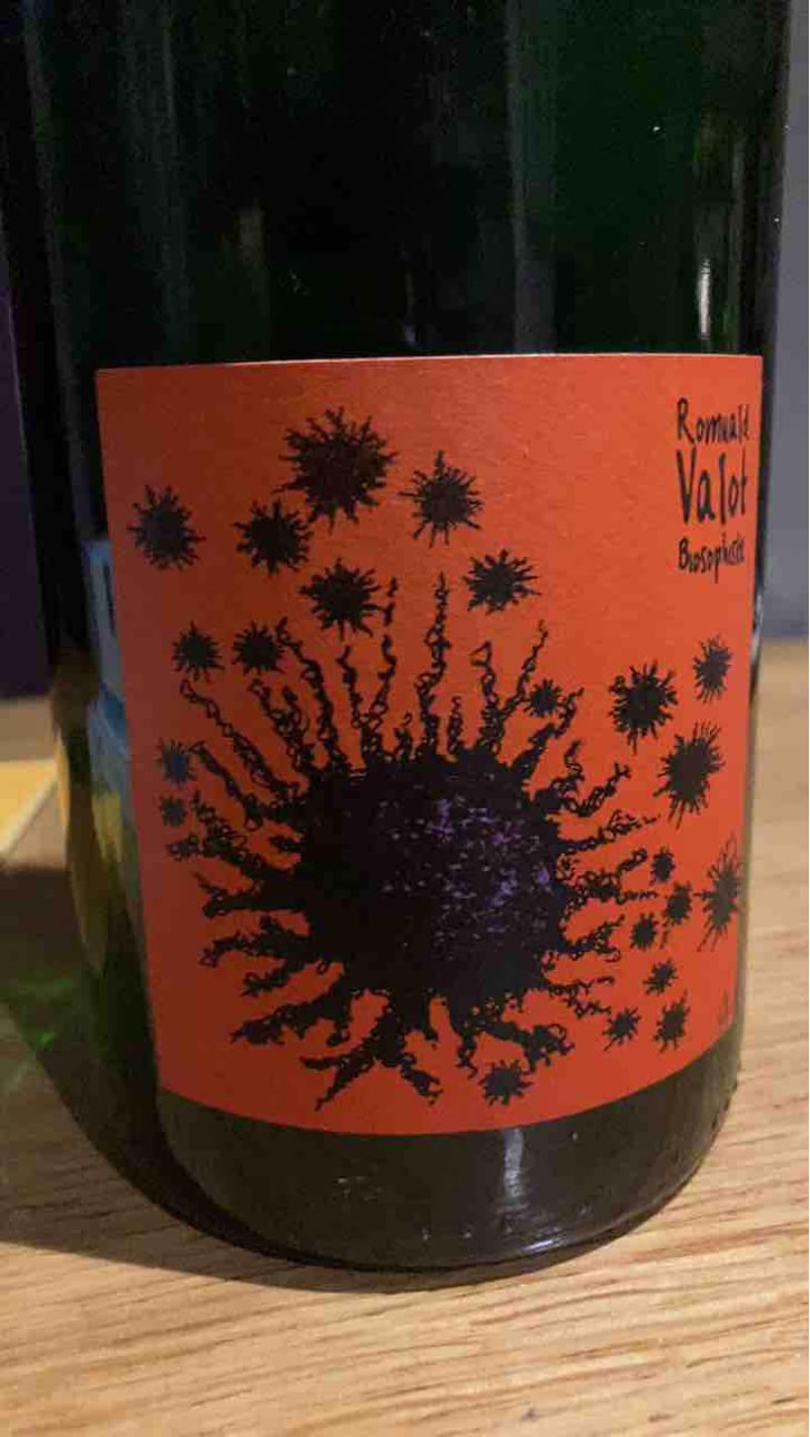 Beaujolais Village - Les Sauvageons - Cosima and Romuald Valot 