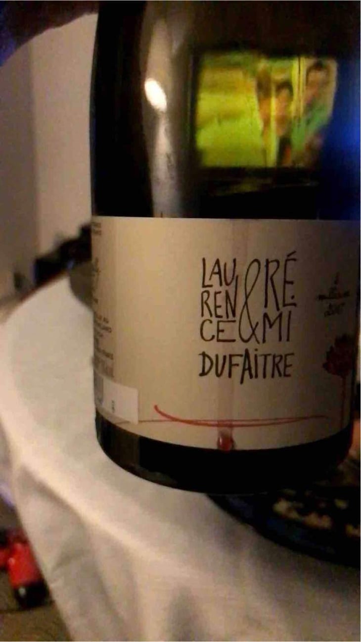 Beaujolais Villages - Domaine de Botheland - Rémi Dufaitre & Laurence Liatard 