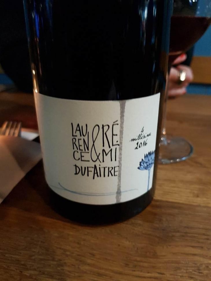 Beaujolais Villages - Domaine de Botheland - Rémi Dufaitre & Laurence Liatard 