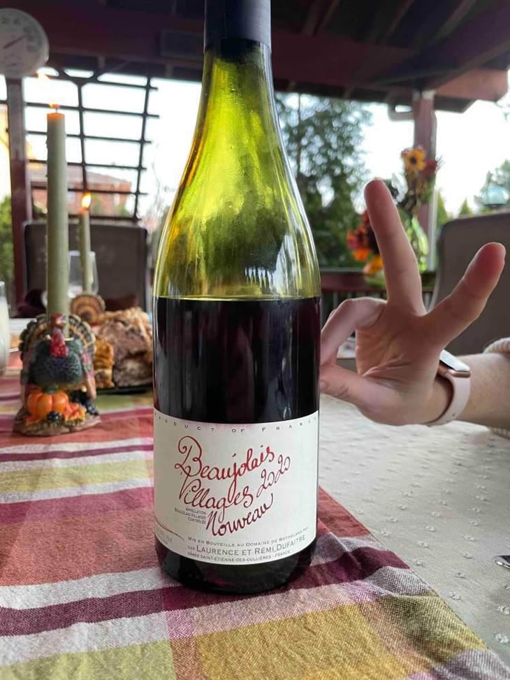 Beaujolais Villages - Domaine de Botheland - Rémi Dufaitre & Laurence Liatard 