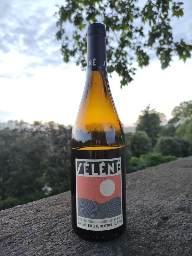 Beaujolais Villages - Séléné - Sylvère Trichard 