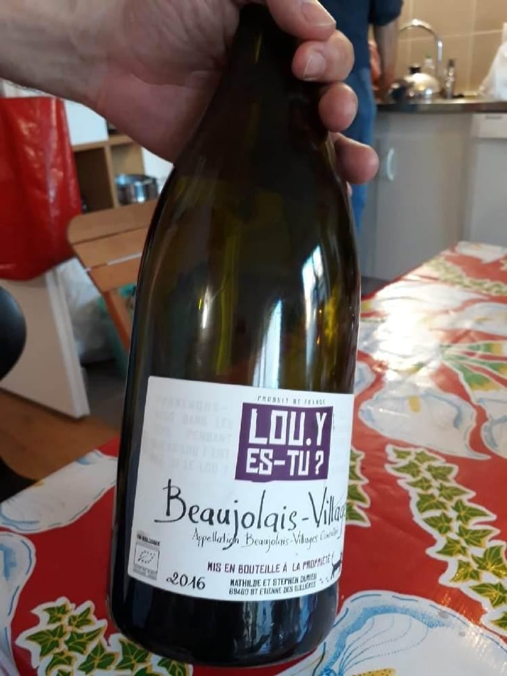 Beaujolais-Villages - Lou. Y Es-Tu? - Mathilde & Stephen Durieu 
