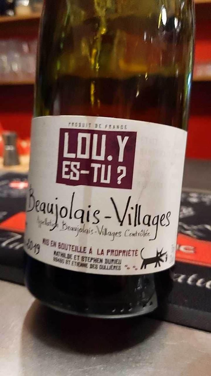 Beaujolais-Villages - Lou. Y Es-Tu? - Mathilde & Stephen Durieu 
